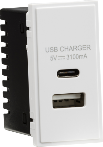 Dual USB Charger (3.1A) Module 25 x 50mm - White
